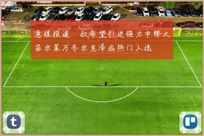 意媒报道囧叔希望引进强力中锋大菲尔莱万齐尔克泽成热门人选