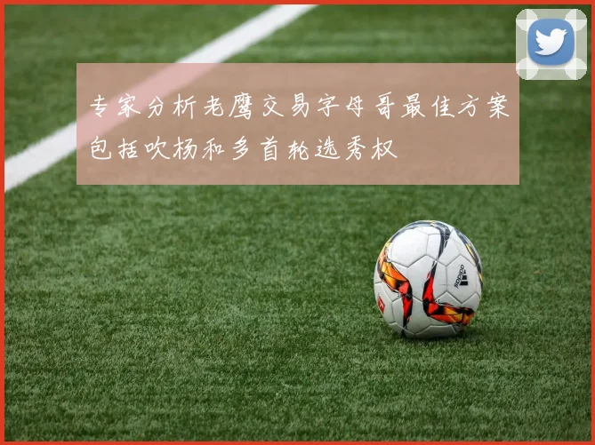 专家分析老鹰交易字母哥最佳方案包括吹杨和多首轮选秀权